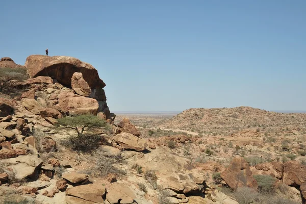 Somali ladscape — Stok fotoğraf