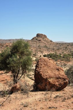 Somali ladscape