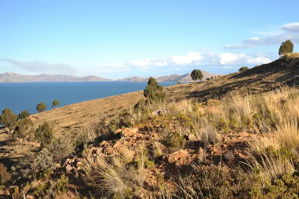 Titicaca lake. Bolivia — Stock Photo, Image