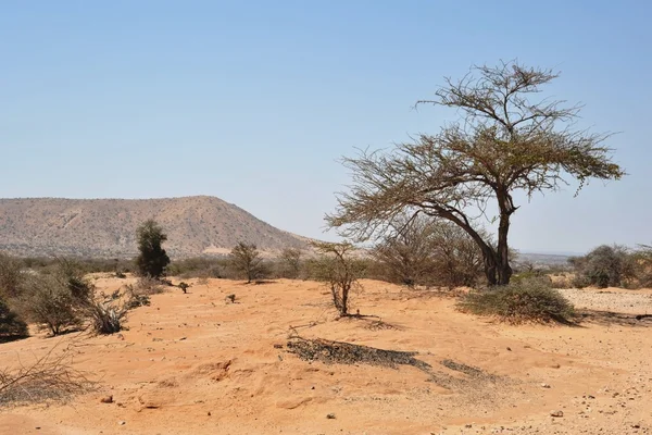 Somalia — Zdjęcie stockowe