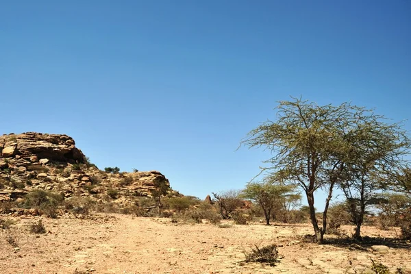 Somalia — Stock Photo, Image