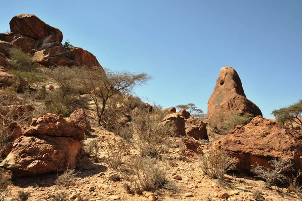 Somalia — Stock Photo, Image