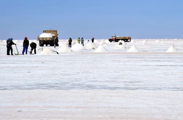 Salar de Uyuni, Bolivya