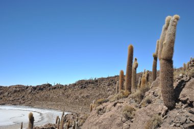 ada Incahuasi salar de uyuni, Bolivya