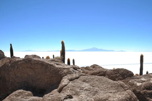 섬 Incahuasi Salar는 드 Uyuni, 볼리비아 — 스톡 사진