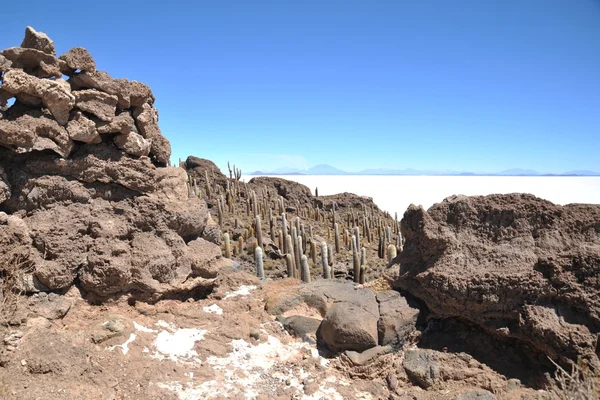 玻利维亚印加 salar de，乌尤尼盐湖岛 — 图库照片