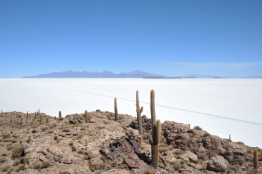 ada Incahuasi salar de uyuni, Bolivya
