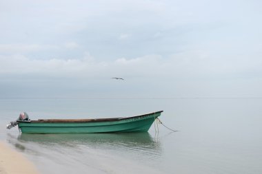 Guajira yarımadası. Kolombiya