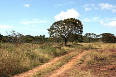 Serranía-de-la-Lindos, Colombia