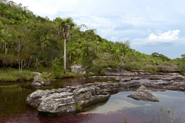 Canio-Cristales river in Colombia — Stock Photo, Image