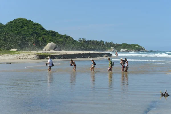 Tayrona, Colombia — Stock Photo, Image