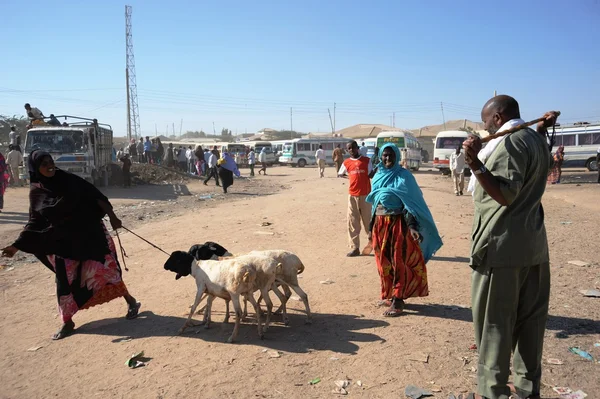 The livestock market — Stock Photo, Image