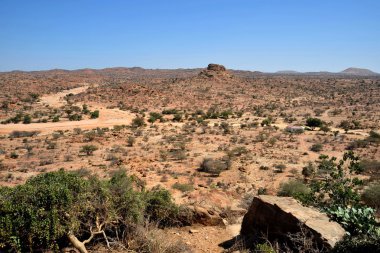Somali ladscape