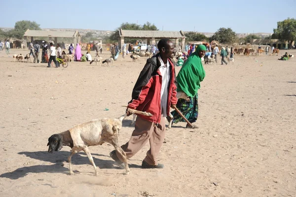 The livestock market — Stock Photo, Image