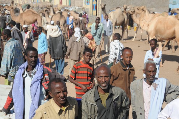 The livestock market
