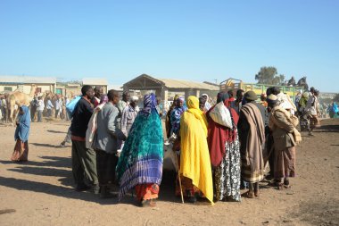 canlı hayvan pazarı