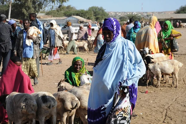 The livestock market — Stock Photo, Image