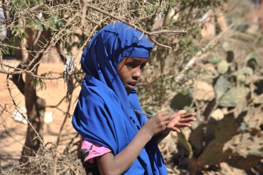Afrikalı Mülteci ve yerinden kişi BM himayesinde yılında somaliland hargeisa eteklerinde kamp.
