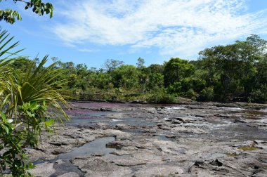 Canio, cristales, dağ, nehir. Kolombiya