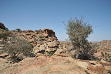 Somali ladscape