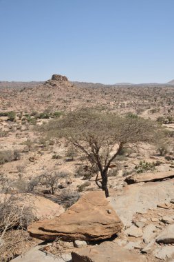 Somali ladscape