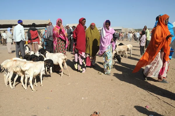 The livestock market — Stock Photo, Image