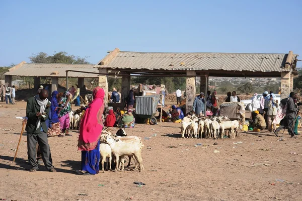 The livestock market — Stock Photo, Image