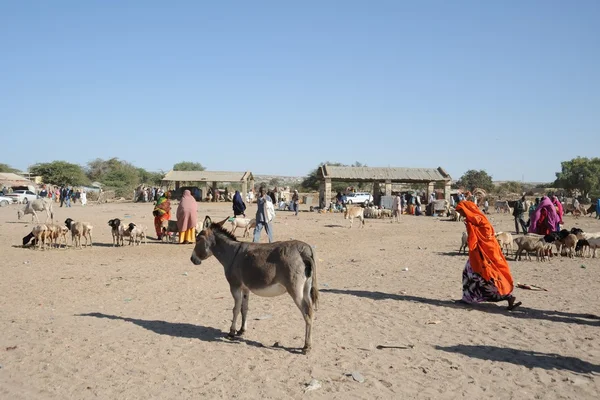 The livestock market — Stock Photo, Image