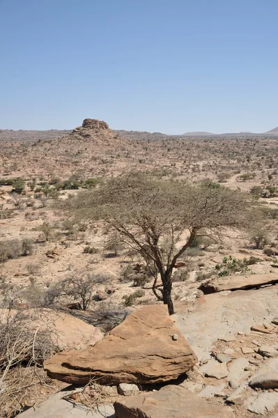 Ladscape somalijski — Zdjęcie stockowe