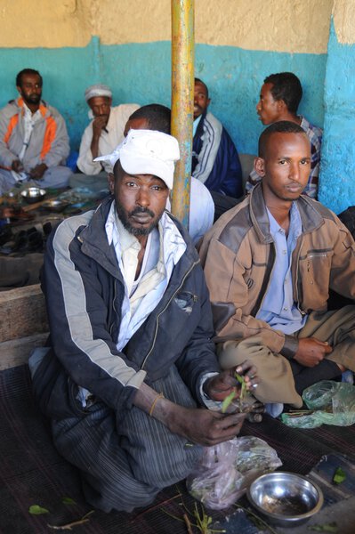 Men use Khat during a meeting in a cafe.