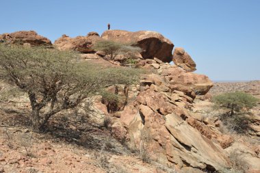Somali ladscape