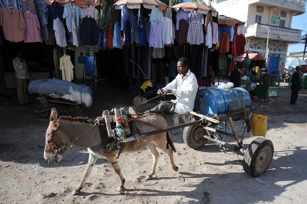 Water vervoerder op de straat hargeisa. — Stockfoto