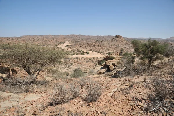 Somaliska landskap — Stockfoto