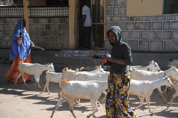 Somali per le strade della città di Hargeysa . — Foto Stock