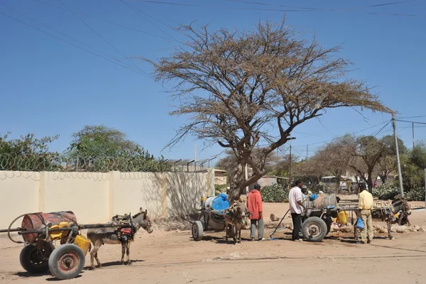 Porte-eau dans la rue Hargeisa . — Photo