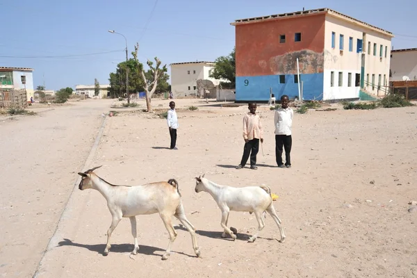 Niet-geïdentificeerde Somaliërs in de straten van de stad van berbera — Stockfoto