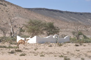 somali Köyü