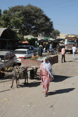 Somalilerle sıkı hargeysa şehir sokaklarında.