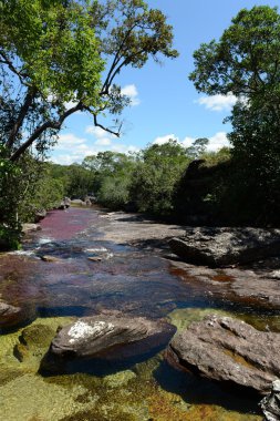 Canio, cristales, dağ, nehir. Kolombiya