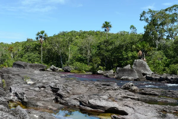 Canio Cristales mountain river. Colombia — Stock Photo, Image
