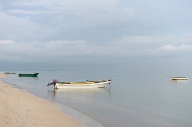 Guajira yarımadası. Kolombiya