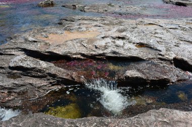 Canio, cristales, dağ, nehir. Kolombiya