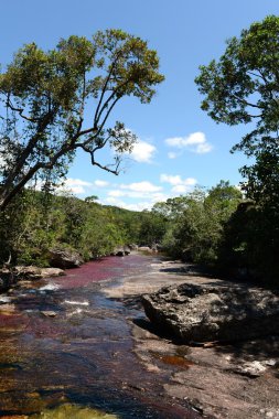 Canio, cristales, dağ, nehir. Kolombiya
