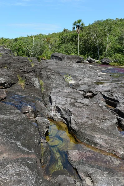 Canio Cristales mountain river. Colombia