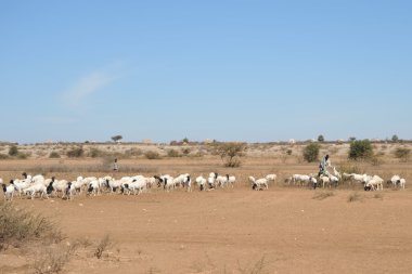 somali Köyü