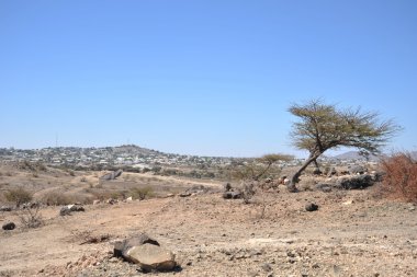 Somali ladscape