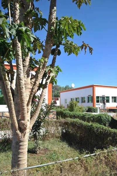 L'hôtel Borama — Photo