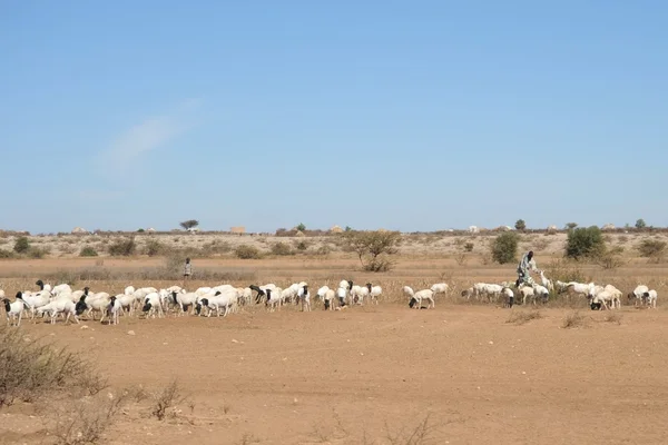 Nel villaggio somalo — Foto Stock