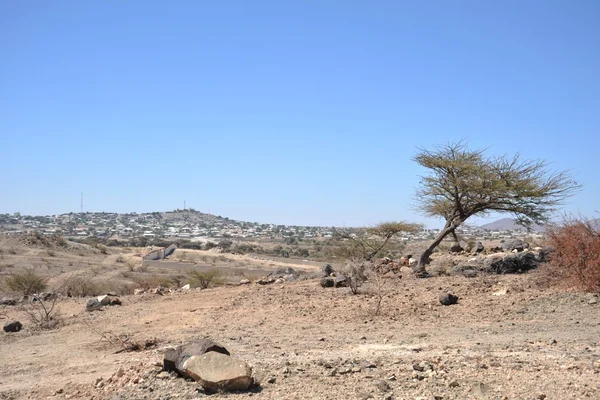索马里 ladscape — 图库照片