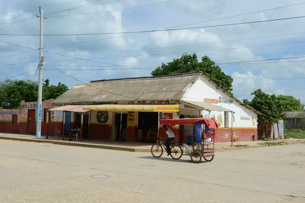 Guajirahalvön. Colombia — Stockfoto